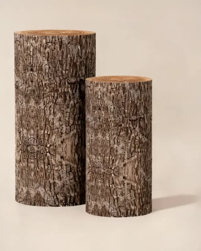 Forro cilindro tronco de árbol
